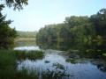 Alexander Springs Park