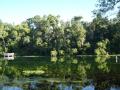 Alexander Springs