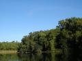 Alexander Springs