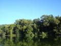 Alexander Springs