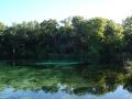 Alexander Springs - clear transparent water