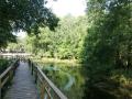 Blue Springs Park