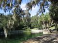 Water panorama - Salt Springs