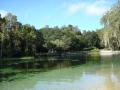 Healing water source- Salt Springs