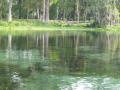 Silver Springs