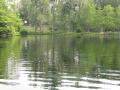 Silver River