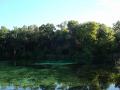 Alexander Springs