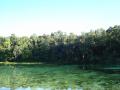 Alexander Springs