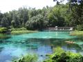beautiful blue water scenery at Rainbow Springs