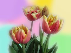 Easter flowers