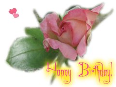 Birthday Greeting Card