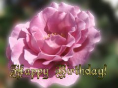 Birthday Greeting Card