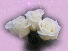 Christmas greeting cards