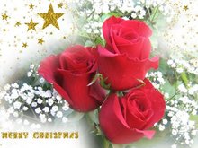 Merry Christmas greeting cards