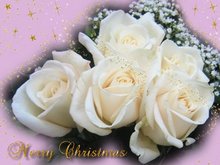 Merry Christmas greeting cards
