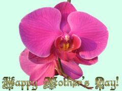 Mother's Day ecard