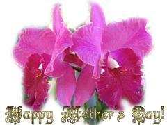 Mother's Day ecard