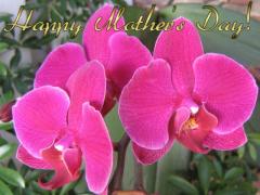 Mother's Day ecard