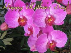 Mother's Day ecard