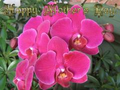 Mother's Day ecard