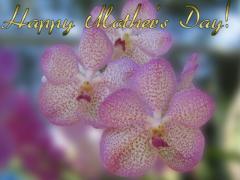 Mother's Day ecard
