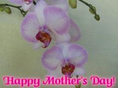 Mother's Day ecard