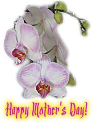 Mother's Day ecard
