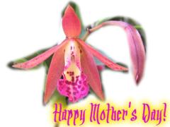 Mother's Day ecard