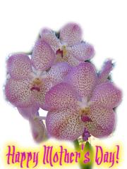 Mother's Day ecard