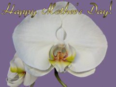 Mother's Day ecard