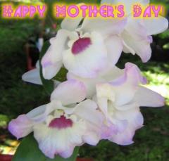 Mother's Day ecard