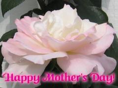 Happy Mother's Day Greeting Card