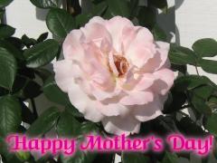 Happy Mother's Day Greeting Card