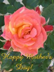 Happy Mother's Day Greeting Card