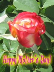 Happy Mother's Day Greeting Card