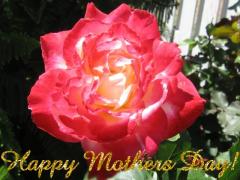 Happy Mother's Day Greeting Card