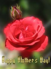 Happy Mother's Day Greeting Card
