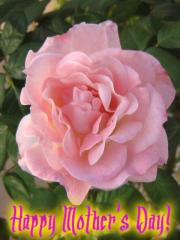 Happy Mother's Day Greeting Card