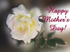 Happy Mother's Day Greeting Card
