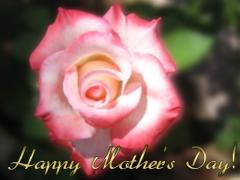 Happy Mother's Day Greeting Card