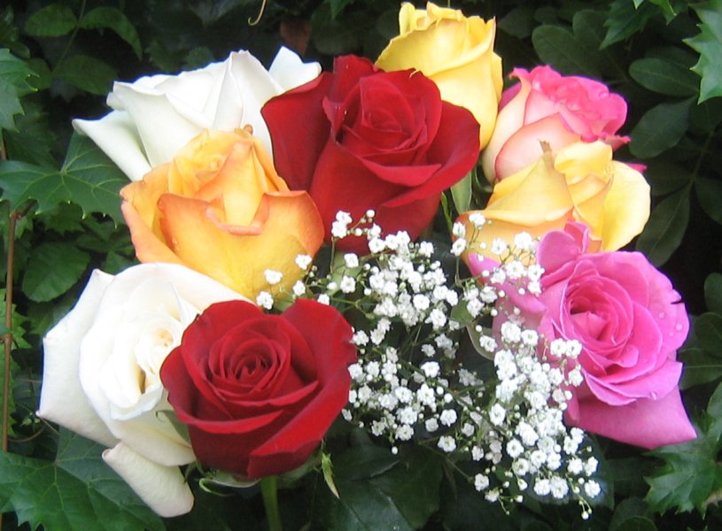 All About Happy Life Greeting Cards
