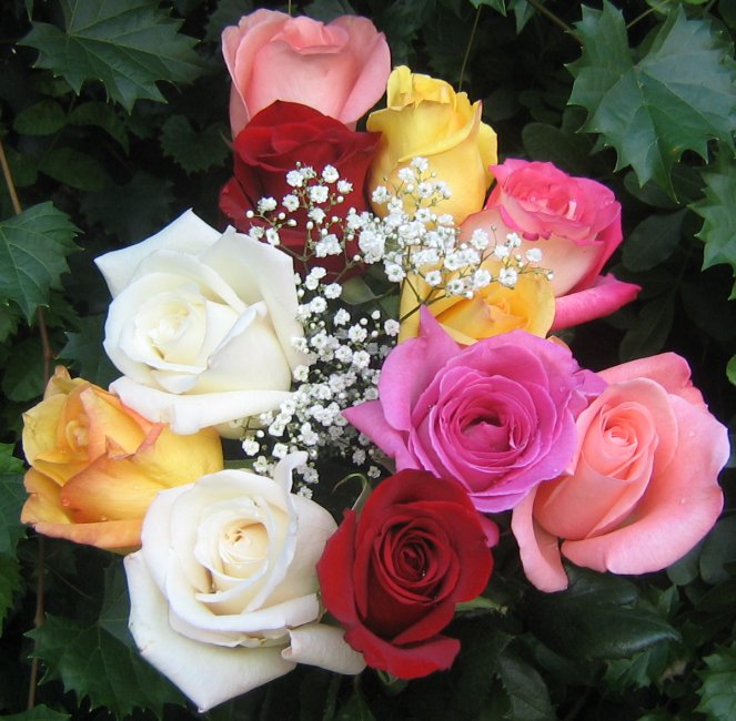 http://www.allabouthappylife.com/greeting_cards/roses_bouquets/roses_3596.jpg