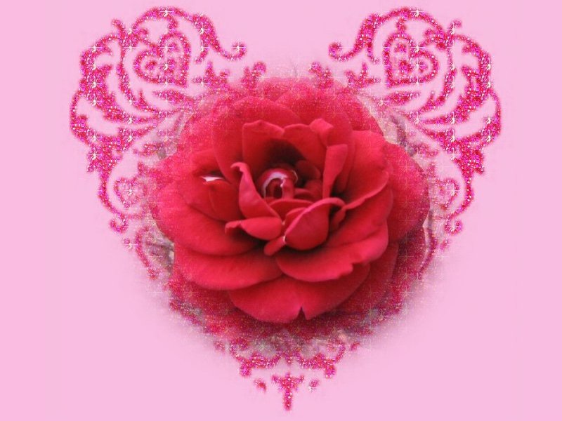 All About Happy Life Greeting Cards