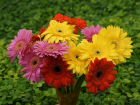free epostcards mit Rosen und Blumen - lovecards by email
