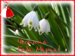 кокичета и мартеничка