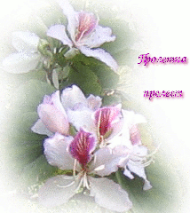 Пролет анимирана картичка
