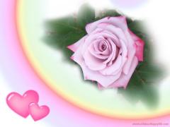 purple rose