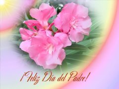 ¡Feliz Dia del Padre!