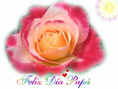 Feliz Dia Papa