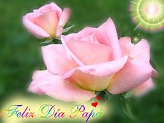 Feliz Día Papá